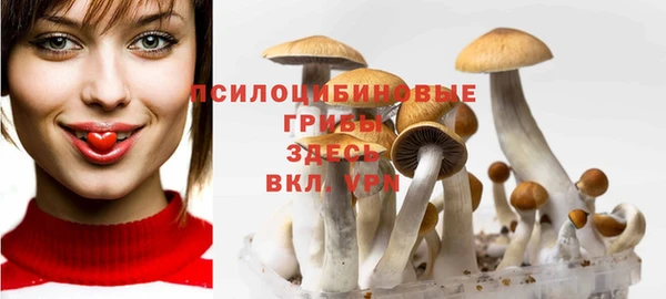 крисы Богородск