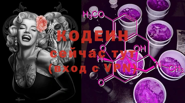 a pvp Бородино