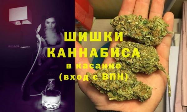 a pvp Бородино
