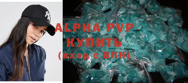 a pvp Бородино