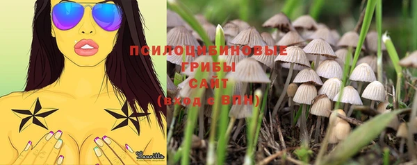 мяу мяу кристалл Богородицк