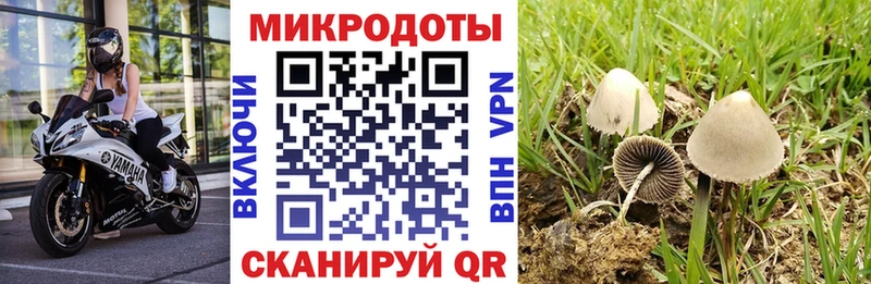 Купить  Татарск  Галлюциногенные грибы Magic Shrooms 